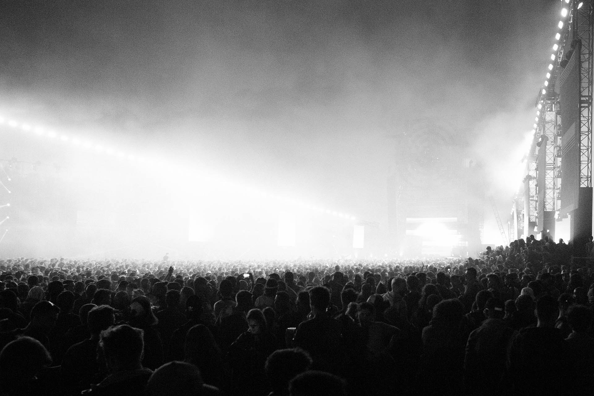 EDMB Festival 2019 Highlights